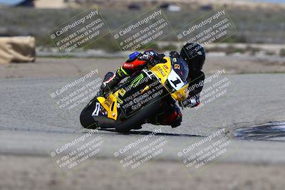 media/Mar-23-2025-TrackDaz (Sun) [[88a7749186]]/A Group/2pm (Cotton Corners)/